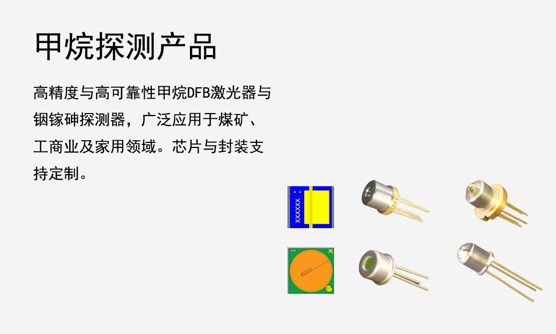 甲烷探测器产品
